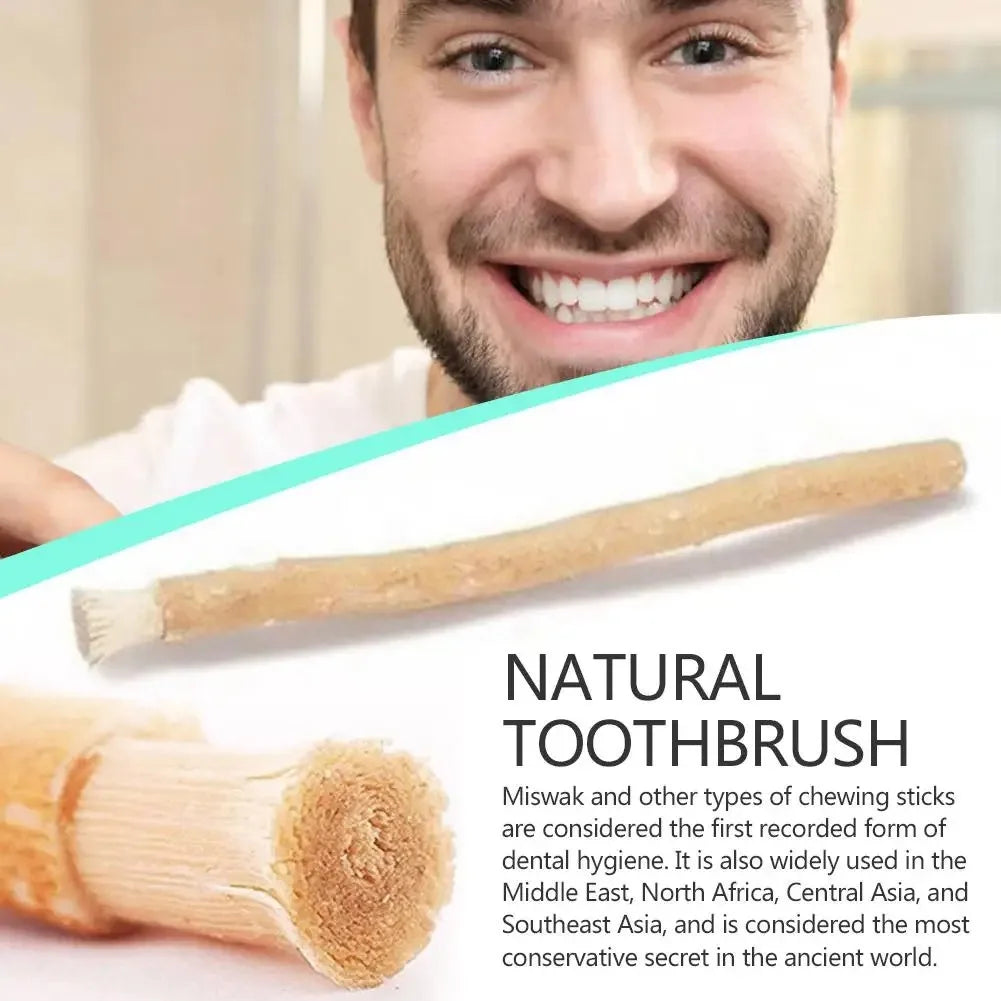 Siwak Naturel – Brosse à Dents Traditionnelle